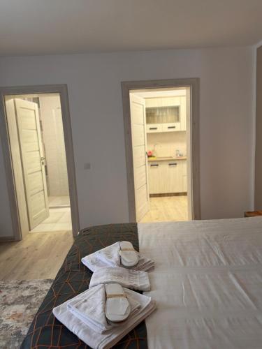 Garsonierele Scandinav - Apartment - Predeal