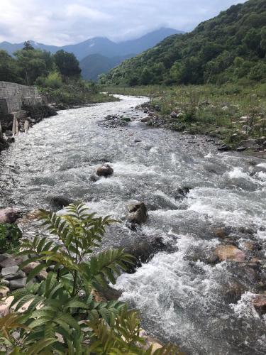 Nearby attraction, Domo Yala in Yala