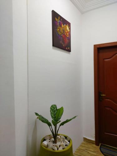 Saceaas homes in Kpeshie