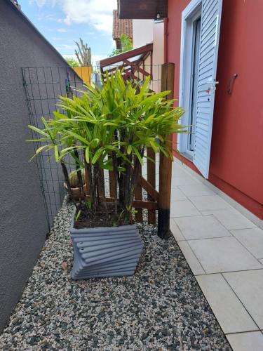 Sossego in Rio Tavares