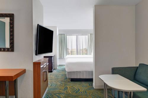 Springhill Suites Jacksonville - image 9