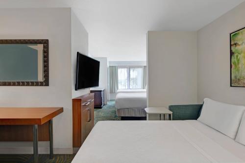 Springhill Suites Jacksonville - image 6