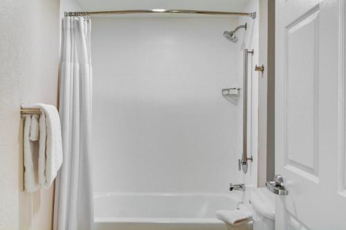 Suite with Two Queen Beds and Sofa Bed - Allergy Friendly image 4