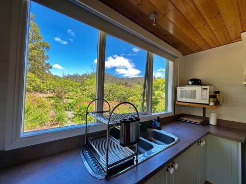 Hamlet Downs Country Accommodation - 주변 환경