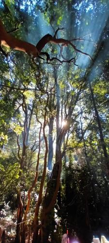 สภาพแวดล้อมโดยรอบ, Cabaña Arrayan (Cabana Arrayan) in กาบูร์กวา