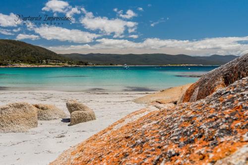Whispering Waves, Bicheno (fotografie 7)