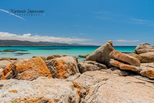 Whispering Waves, Bicheno (fotografie 8)