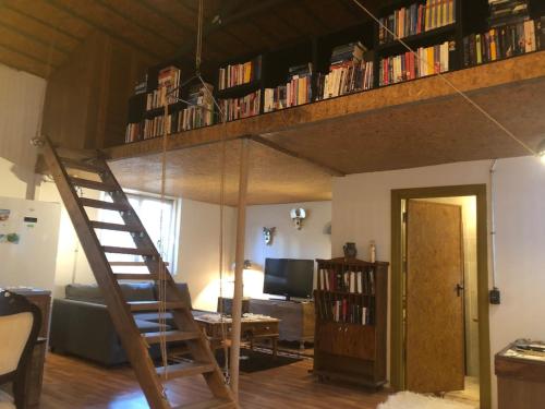 One-Bedroom Villa image 3