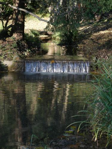 Kert, B&B Giardino Jappelli (Villa Ca' Minotto) in Rosa (Vicenza)