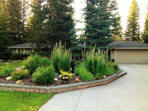 . Redwood Retreat