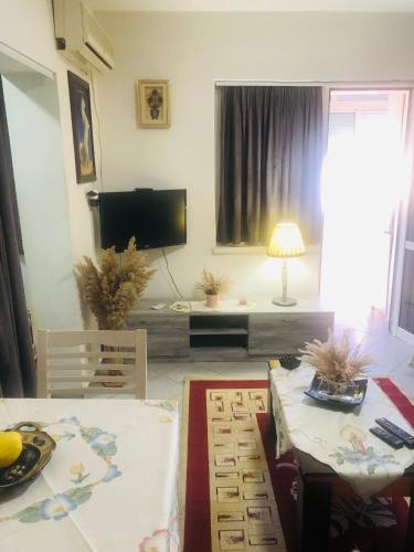 Cozzy Studio Flat, Tirana (photo 11)