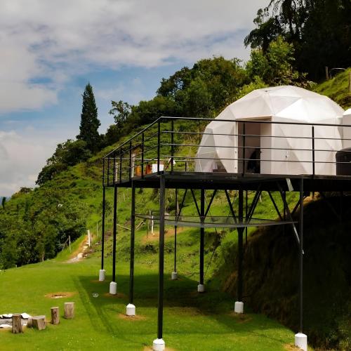 Garden, Glamping Reserva del Ruiz in Tesorito