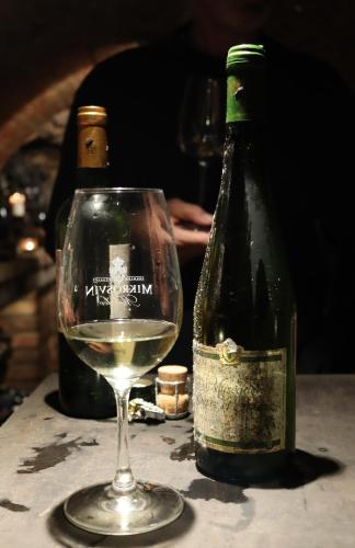 Hotel Golf Garni - image 8