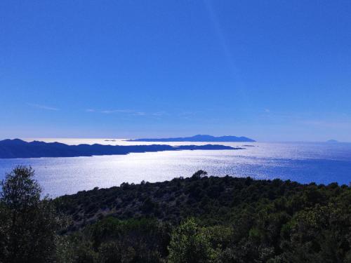 Kilátás, Kameni cvijet in Murvica
