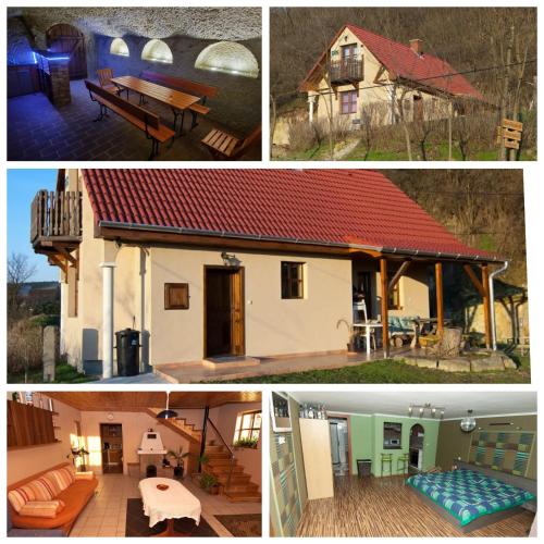 Sas-Fészek Vendégház - Apartment - Demjén