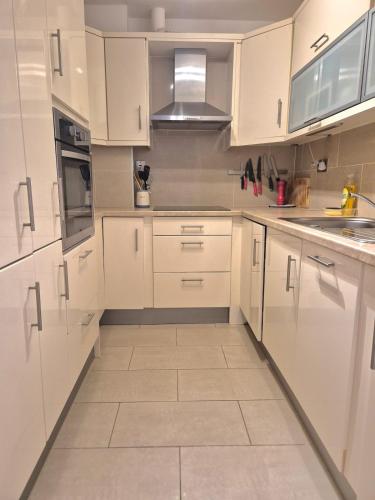 Modern Two Bed Apartment with Parking, Dublin (zdjęcie 6)