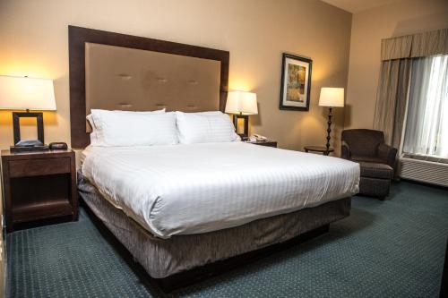 Holiday Inn Express Hotel & Suites - Novi an IHG Hotel - image 2