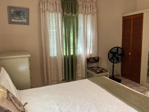1 Bed Flat at Coconut Villa in Spanish Town