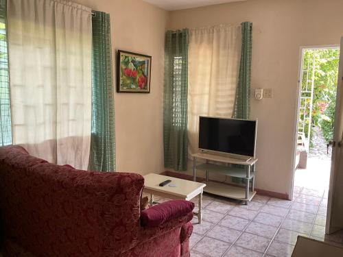 1 Bed Flat at Coconut Villa in Spanish Town