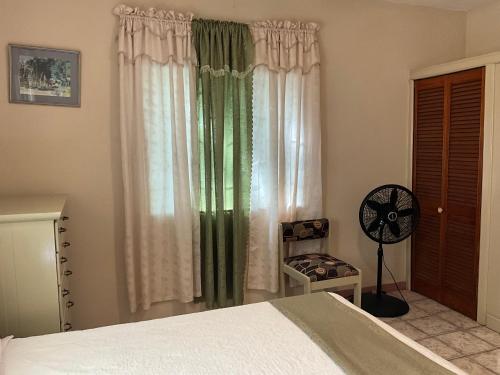 1 Bed Flat at Coconut Villa in Spanish Town