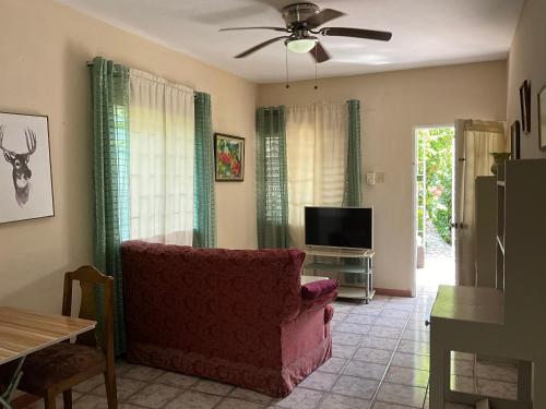 1 Bed Flat at Coconut Villa in Spanish Town