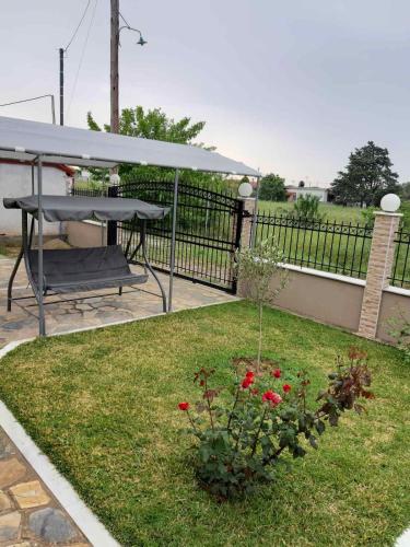 Sea and olive Sea and olive