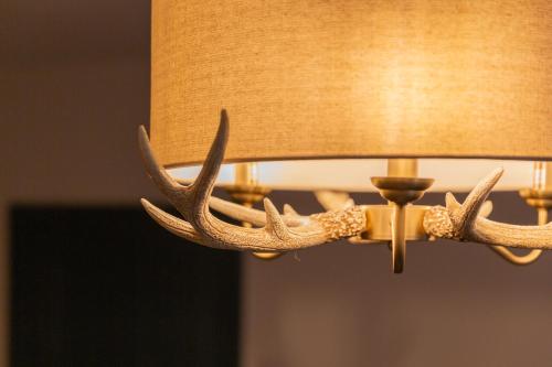 The Lower Buck - image 2