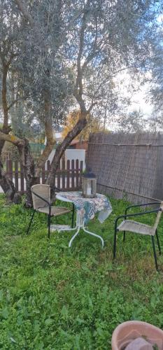 Hotel La Perla Blanca, Ronda (photo 8)