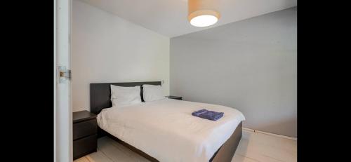 Private 3 bedroom apartment - HomeStay Properties Amsterdam, Amsterdam (foto 10)