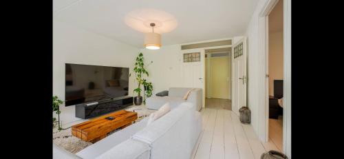 Private 3 bedroom apartment - HomeStay Properties Amsterdam, Amsterdam (foto 8)