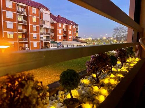 Vaade, Terra Vita in Vukovar