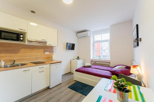 Flex SelfCheckIns 134 - Zagreb - Studio Apartment - Centre, Zagreb