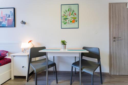 Flex SelfCheckIns 134 - Zagreb - Studio Apartment - Centre, Zagreb (photo 5)