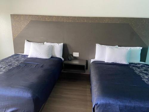 LiV Inn & Suites Houston - image 3