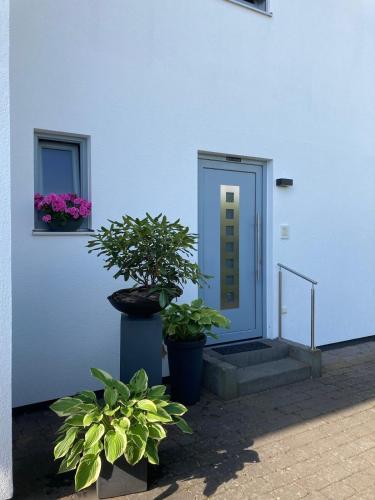 Ferienwohnung am Salmtalradweg Region Eifel Mosel in Hetzerath