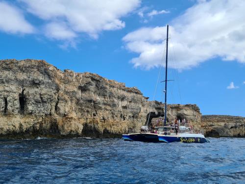 Richard's Living Richard's Living