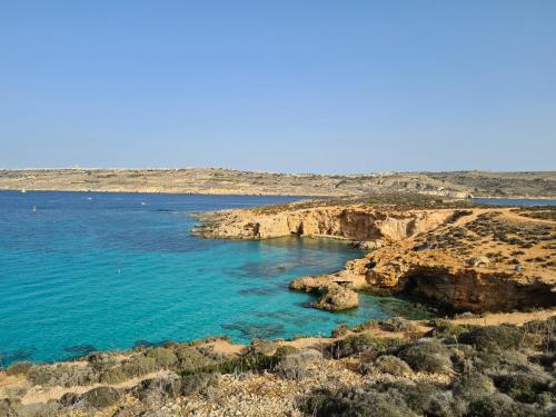 Richard's Living Richard's Living