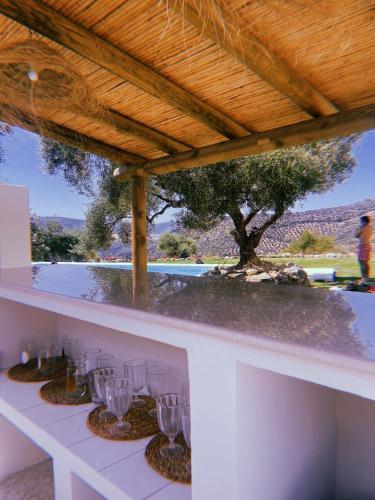 Kert, Hacienda Molino Nuevo in Algodonales