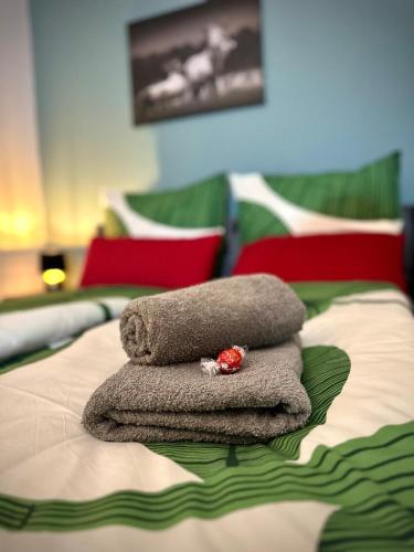 Comfortable City Appartement, Drážďany (fotografie 9)