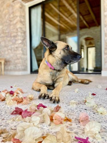 Kaouki Lodge Kaouki Lodge