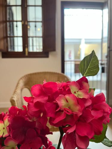 Apartamentos RG calle Santiago 46 2