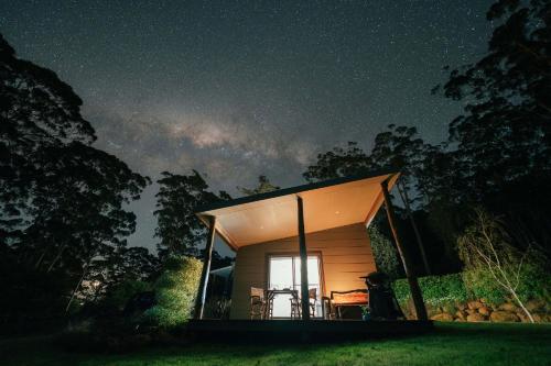 The Floating Forest in Denmark
