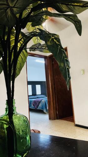 Casa Dahlia Querétaro Casa Dahlia Querétaro