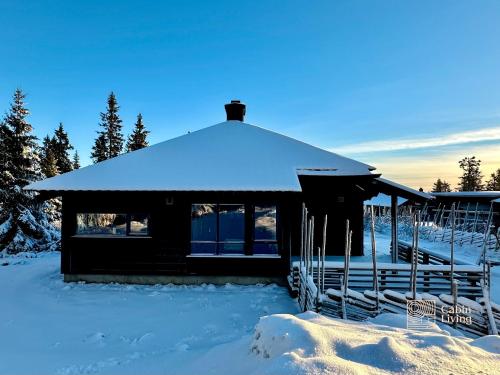 Cabin at Sjusjøen Birkebeiner trail ski in out, 8 beds, 2 bathrooms & Wifi in ชูเชิน