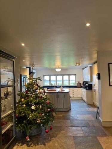 Elmcroft, Large House with Shepherds Hut in Gillingham Town