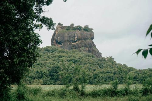 Sigiriya Lakmal Resort - image 5