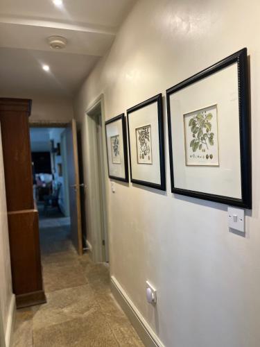 Elmcroft Holiday Annex in Gillingham Town