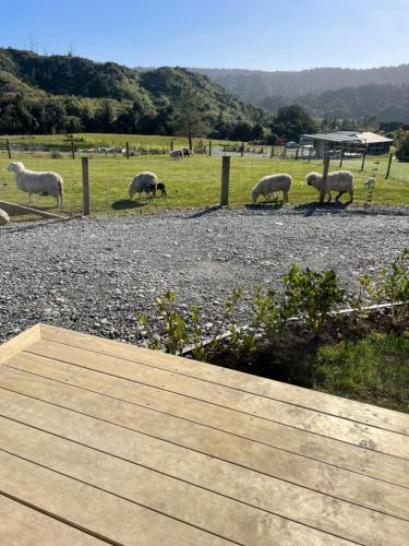 Robbies Hut in Greymouth