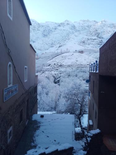 Riad Dar Amgdoule Tacheddirt in Tacheddirt