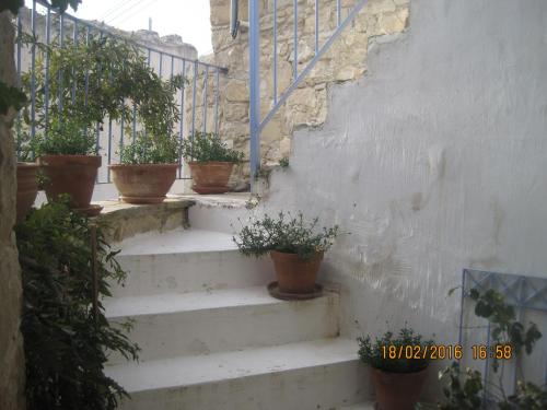 Oinochori - image 6